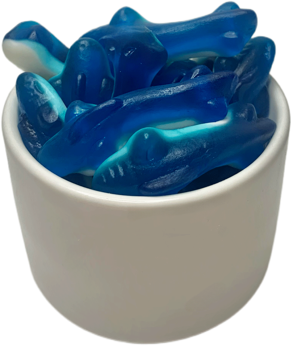 027 - Requins bleus